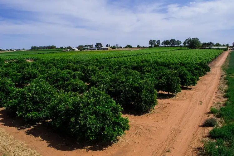 Sixth view of Homely land listing, - Derrick Road, Loxton SA 5333