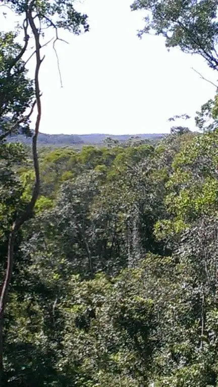 Third view of Homely land listing, Lot 38 Ronald Road FOREST CREEK, Daintree QLD 4873