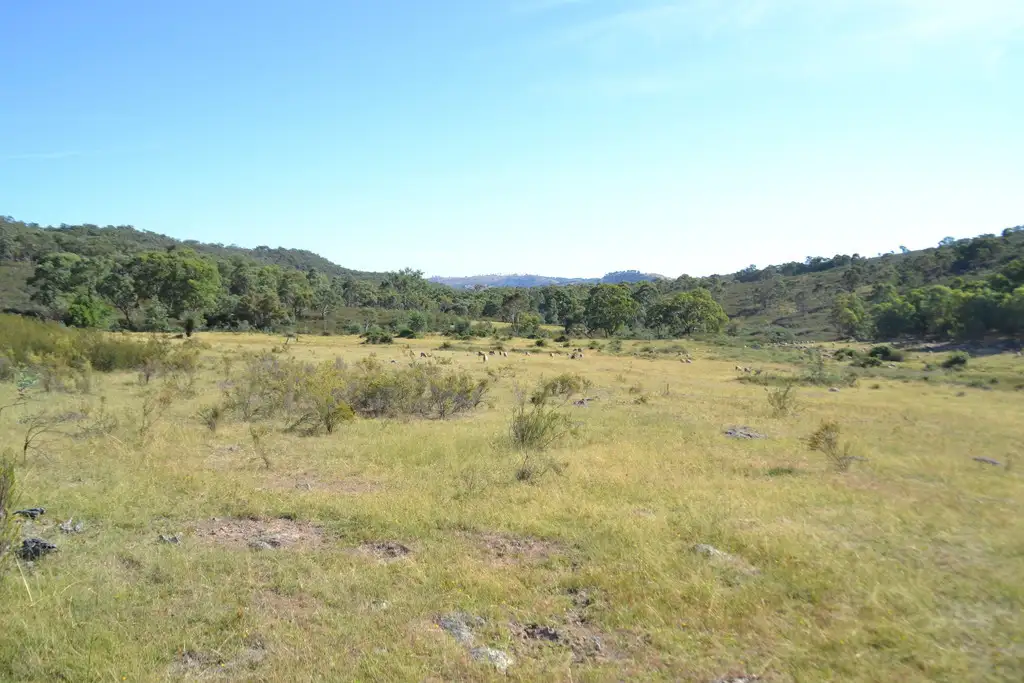 Main view of Homely rural property listing, "Lawlers Flat" Hill End Road, Hill End, Mudgee NSW 2850