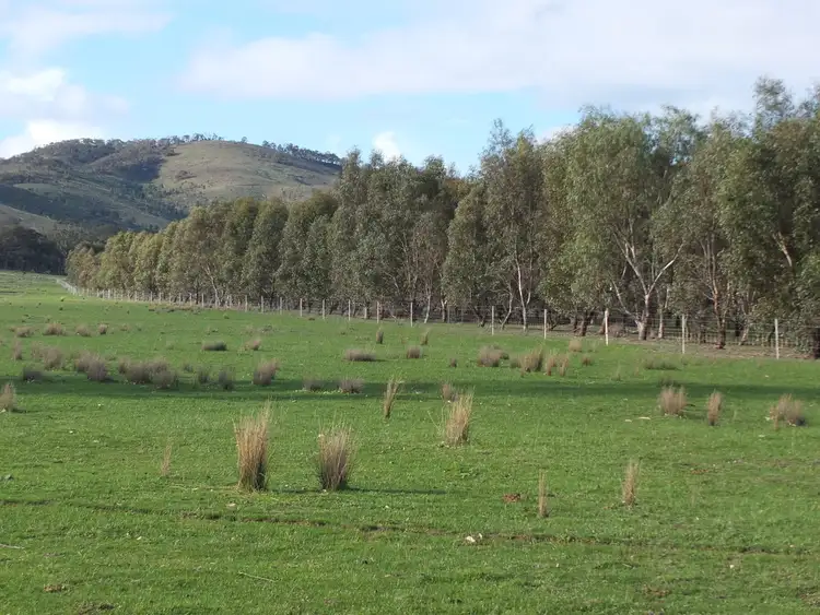 Main view of Homely rural property listing, 4931 Stawell-Avoca Road, Frenchmans VIC 3381