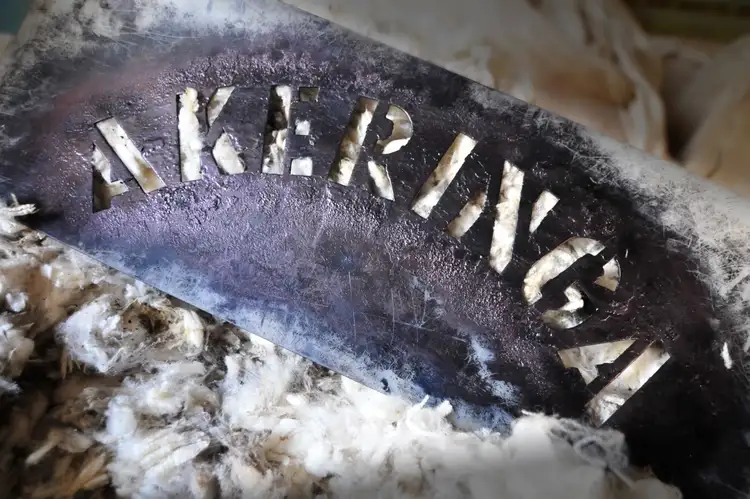 Sixth view of Homely rural property listing, 559 Cowans Road, Robe SA 5276