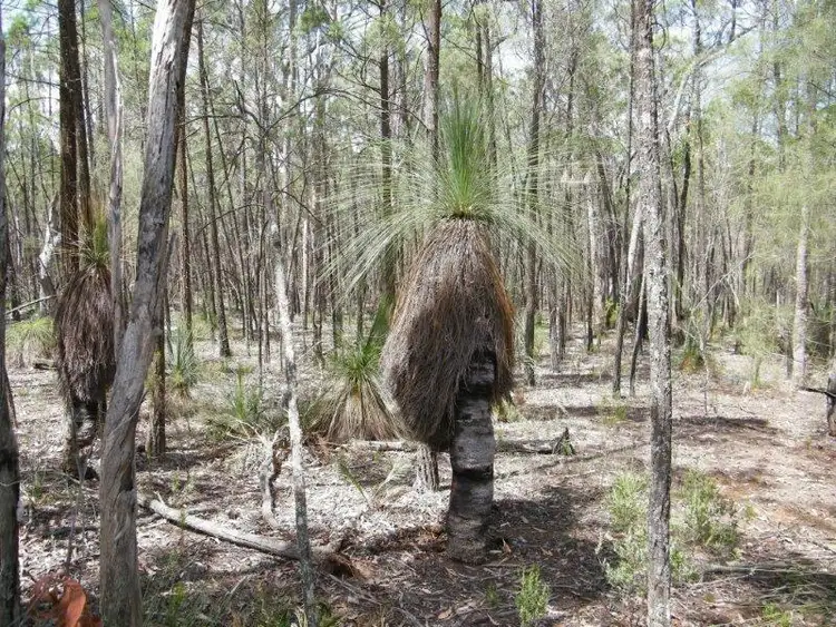 Third view of Homely land listing, Lot 6 Premer, Premer NSW 2381