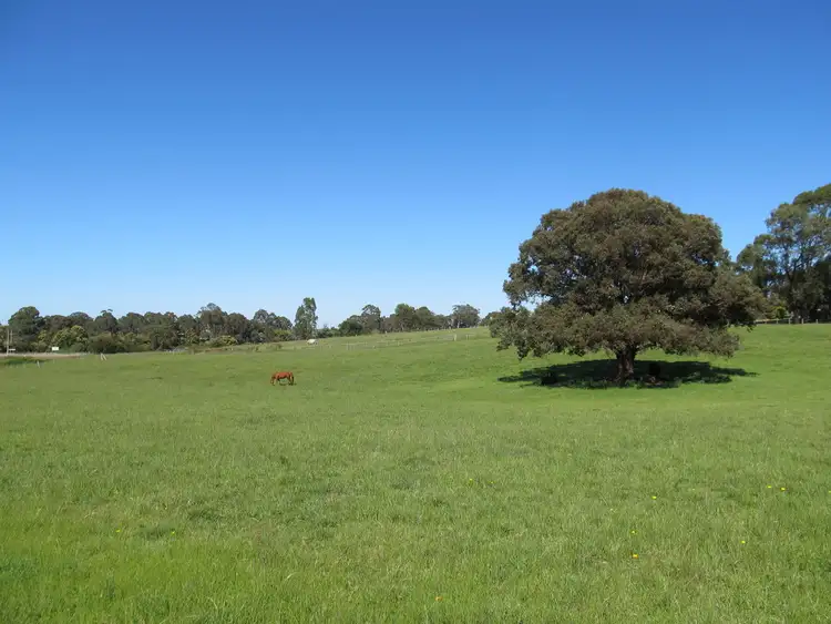 Third view of Homely house listing, 15 Nicholson Sarsfield Road, Nicholson VIC 3882