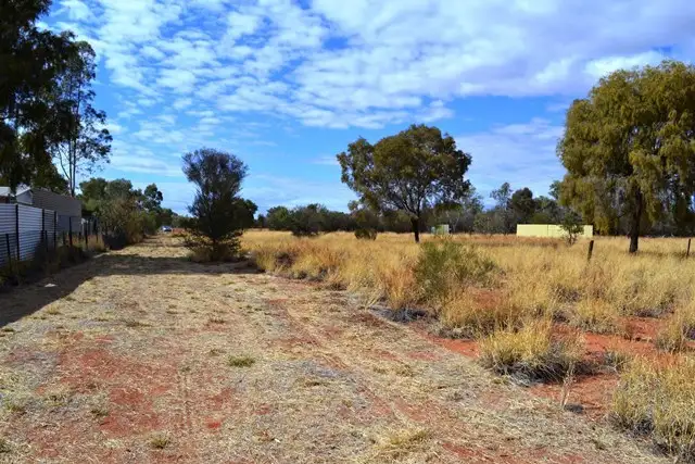 Fifth view of Homely rural property listing, 4313 Chateau Rd, Connellan NT 873