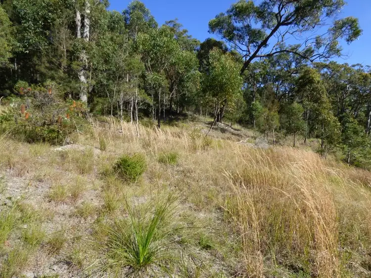 Fifth view of Homely land listing, 11 Grevillea Grove, Toronto NSW 2283