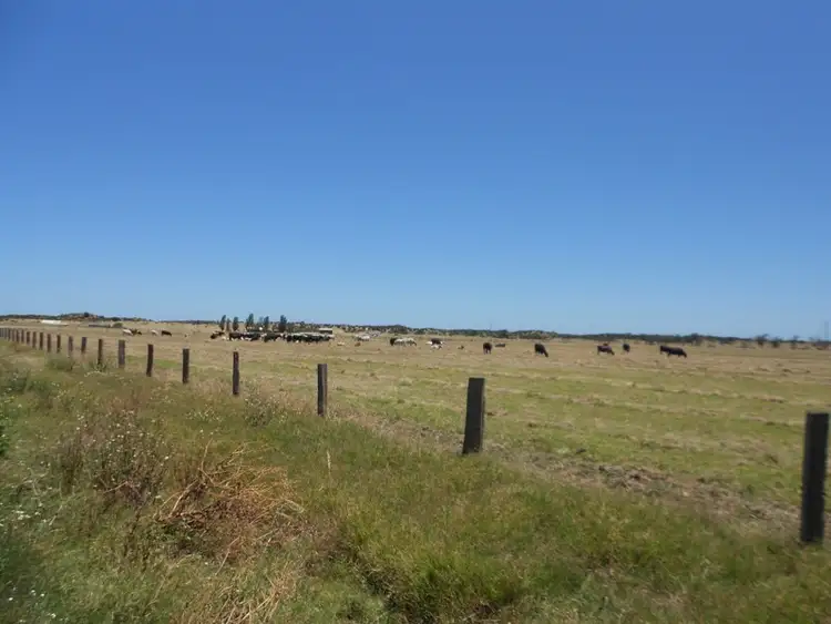 Fifth view of Homely rural property listing, 124 Edwards Rd, Stirling Estate WA 6271