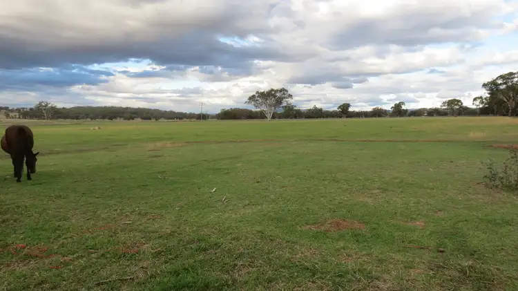 Sixth view of Homely rural property listing, Lot 2 Warrambungle Way, Coolah, Coolah NSW 2843