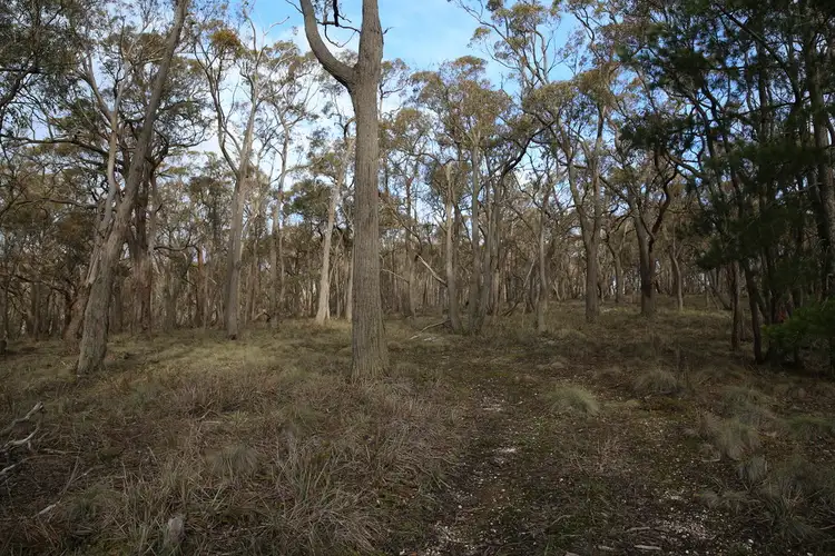 Fifth view of Homely land listing, Lot 39 Station Lane, Carngham VIC 3351