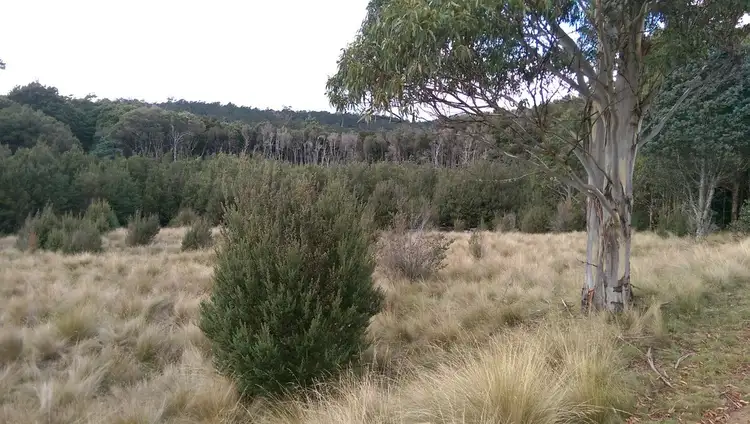 Seventh view of Homely rural property listing, lot 7/600 Mount Barrow Rd, Nunamara TAS 7259