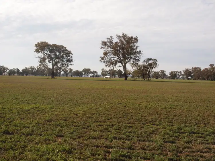 Fifth view of Homely rural property listing, Address available on request