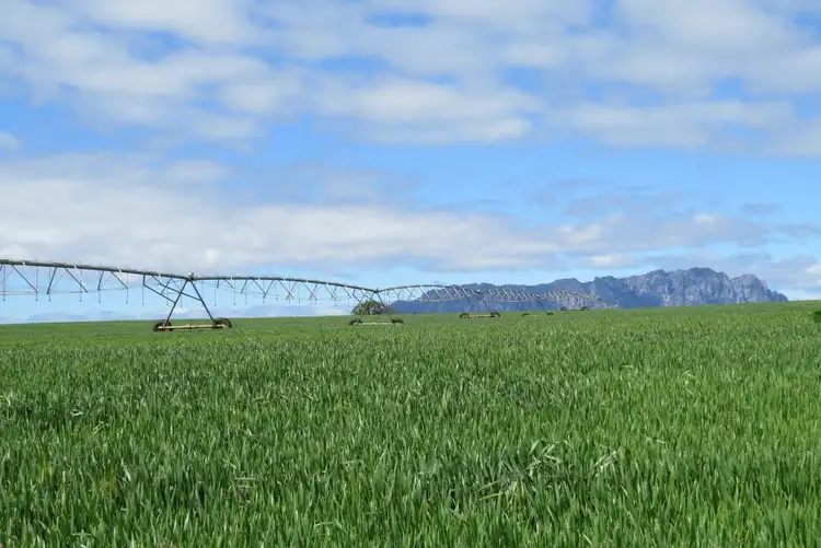 Sixth view of Homely rural property listing, 1854 Sheffield Road, Barrington TAS 7306