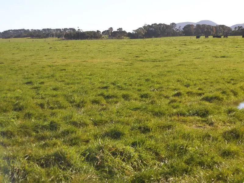 Main view of Homely rural property listing, 1398 Lady Barron Road, Ranga, Flinders Island TAS 7255