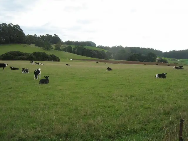 Fourth view of Homely rural property listing, 1556 Pine Road, Riana TAS 7316