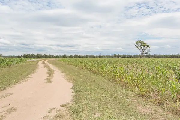 Third view of Homely rural property listing, 16829 Peak Downs Highway, Nebo QLD 4742