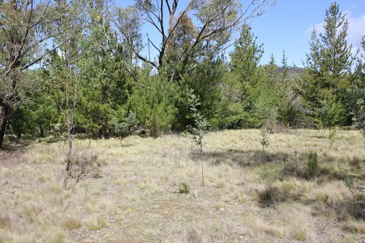 Lot 386 Sofala Road, Wattle Flat NSW 2795