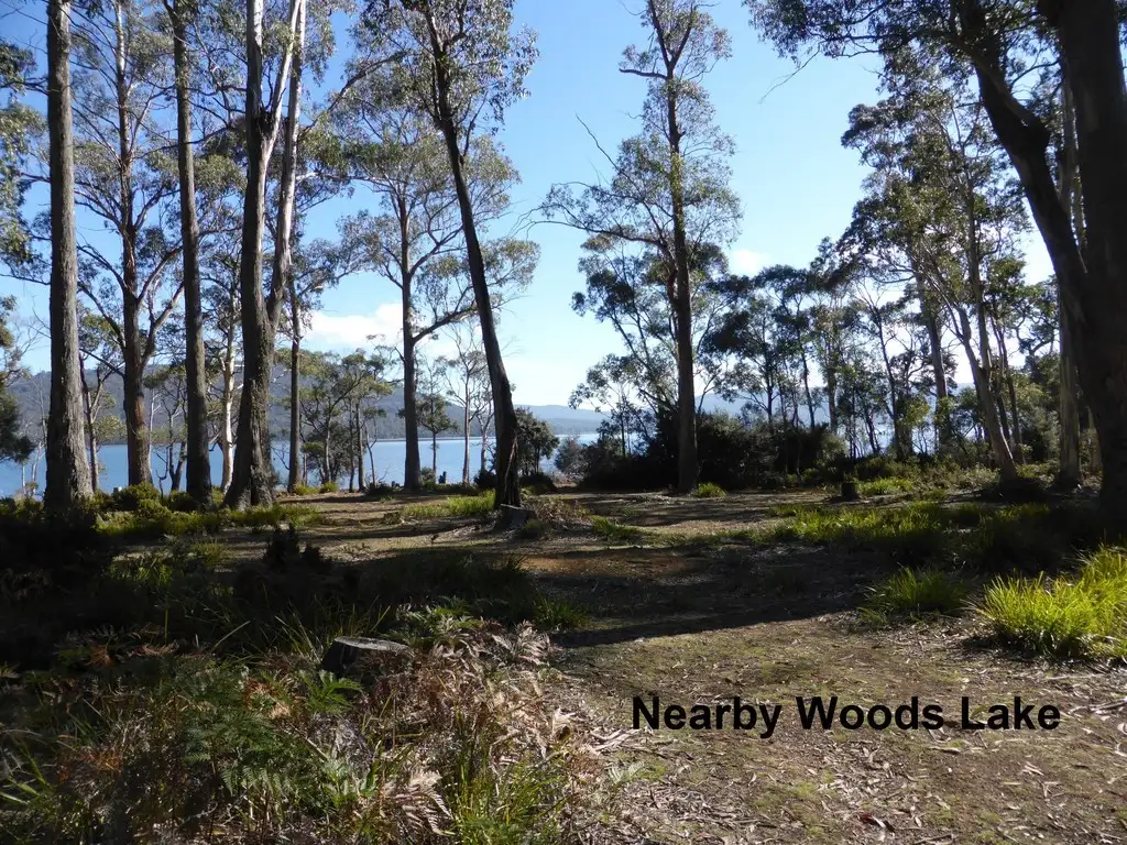 Main view of Homely land listing, 0 Alma Tier Shack Site, Interlaken TAS 7030