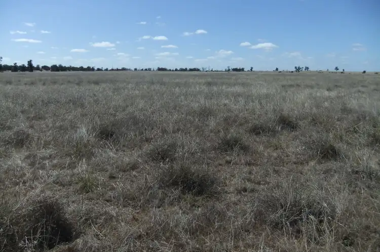 Fourth view of Homely rural property listing, "Trelawn" Wild Horse Tank Road, Merriwagga NSW 2652
