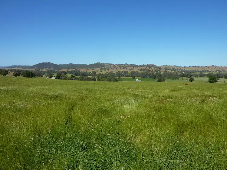 Second view of Homely rural property listing, 3000 Westbrook Road Tarcutta via, Wagga Wagga NSW 2650