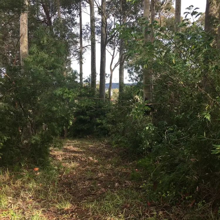 Fourth view of Homely land listing, 115 Palana Street, Surfside NSW 2536