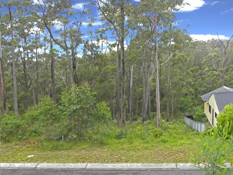29 Oakwood Way, Catalina NSW 2536