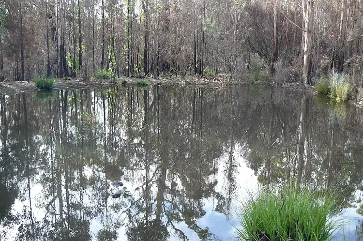 Second view of Homely land listing, Lot 1 Arthur Highway, Murdunna TAS 7178