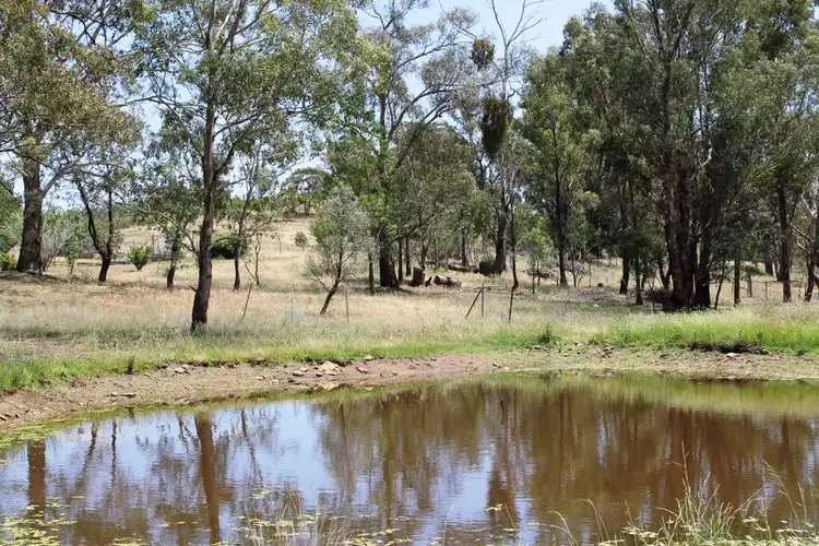Sixth view of Homely rural property listing, 1640 Goolma Road, Gulgong NSW 2852