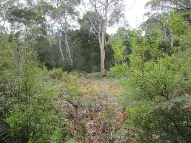 Second view of Homely land listing, 0 Henty Road, Zeehan TAS 7469