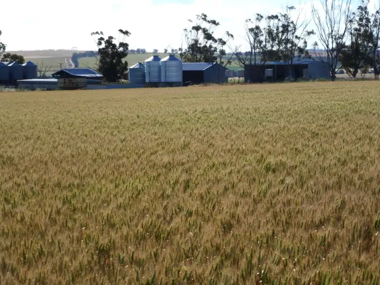 Fourth view of Homely rural property listing, 2252 Northam-Pithara Rd, Goomalling WA 6460