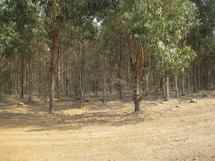 Fifth view of Homely rural property listing, Lot 1221 Muir Highway, Mount Barker WA 6324