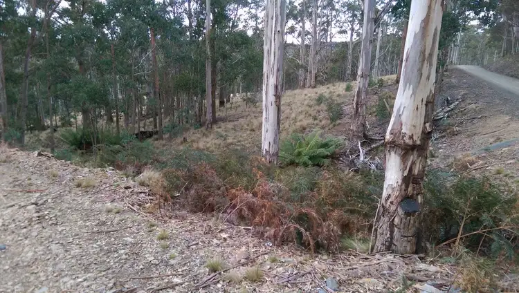 Third view of Homely rural property listing, Lot 5/600 Mount Barrow Rd, Nunamara TAS 7259