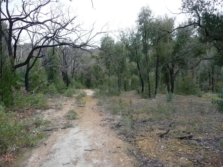 Seventh view of Homely land listing, 719 Paynes Bridge Road, Dereel VIC 3352
