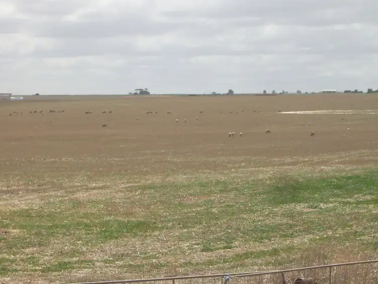 Seventh view of Homely rural property listing, Address available on request