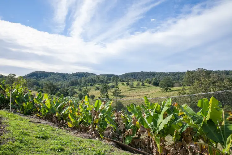 Main view of Homely house listing, 197 Billen Road, Georgica NSW 2480