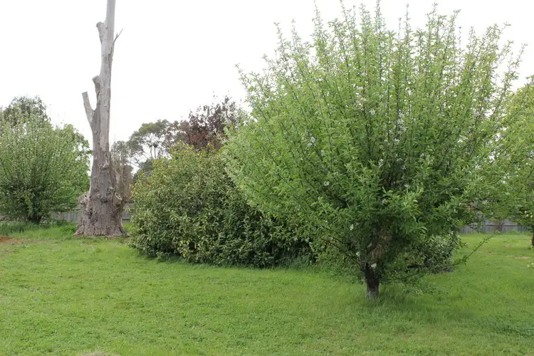 Third view of Homely land listing, 43 Taylor Street, Westbury TAS 7303