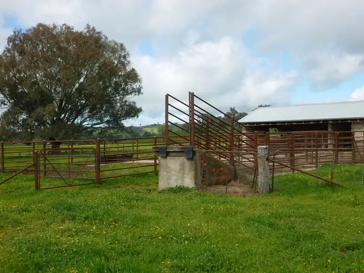 Seventh view of Homely rural property listing, 132 Cemetery Road, Talgarno VIC 3691