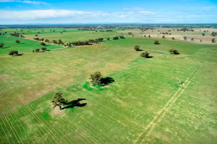 Sixth view of Homely rural property listing, 7216 Riverina Highway, Corowa NSW 2646