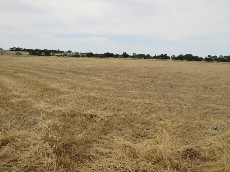 Sixth view of Homely land listing, Lot 31 Big Olive Grove, Tailem Bend SA 5260