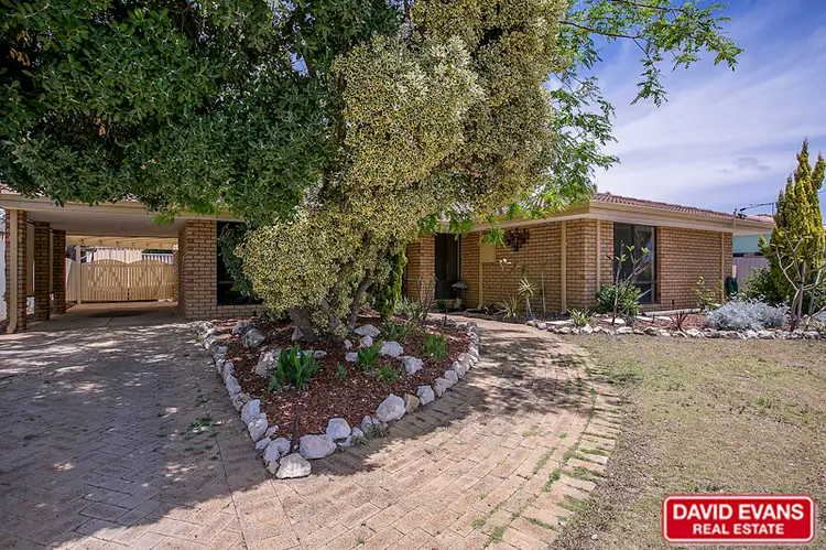 Fourth view of Homely house listing, 64 Greenfields Circle, Hocking WA 6065