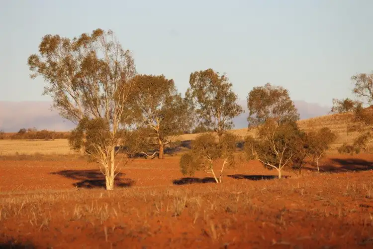 Second view of Homely rural property listing, 65 Wundi Road, Alma WA 6535