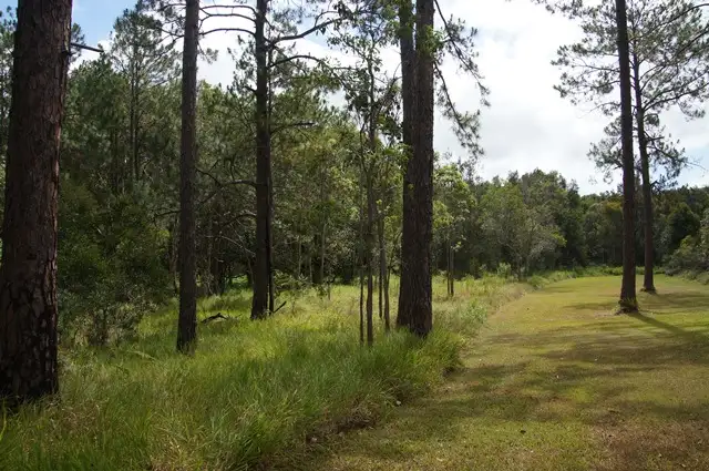 Main view of Homely land listing, 70 Read Street, Tewantin QLD 4565