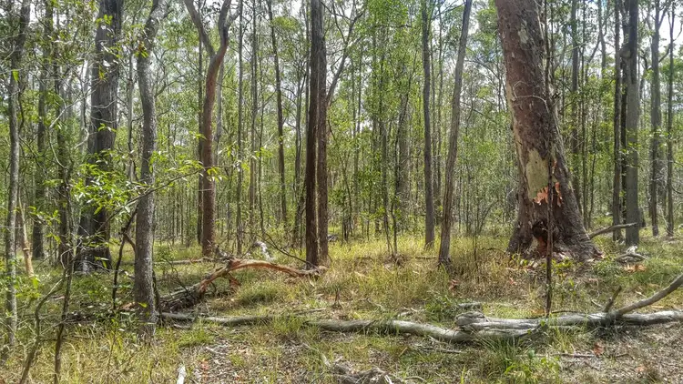 Second view of Homely land listing, 600 Beckmanns Road, Glenwood QLD 4570