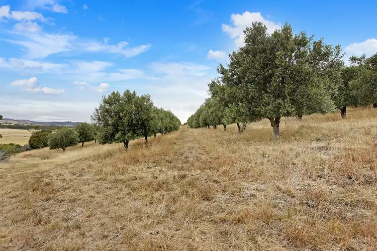 Seventh view of Homely land listing, 37 Leprena Road, Orielton TAS 7172