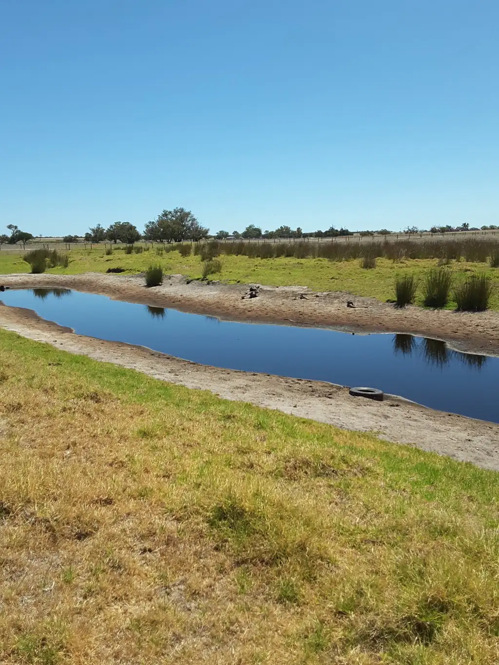 Main view of Homely rural property listing, 46 GASTON ROAD, Bullsbrook WA 6084
