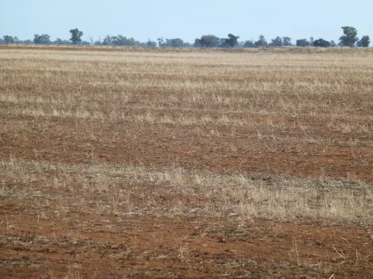 Third view of Homely rural property listing, KAKADU FOREST BLOCK, Jerilderie NSW 2716