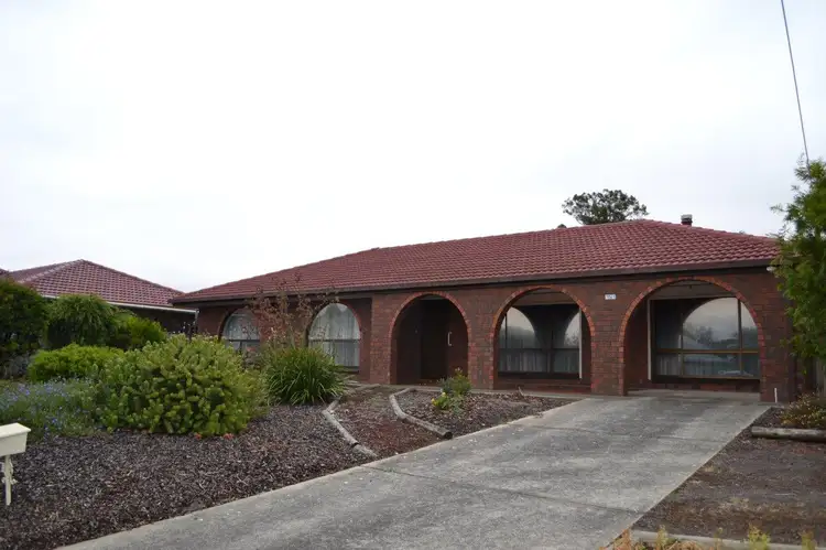 Main view of Homely house listing, 151 Mount Gambier Road, Millicent SA 5280