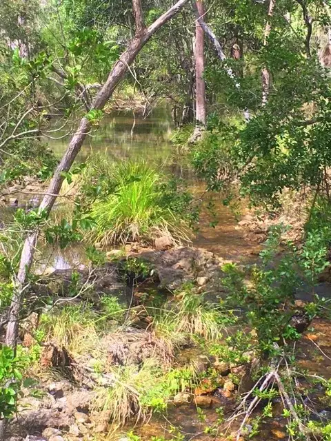 Main view of Homely land listing, 213 Davies Road, Captain Creek QLD 4677