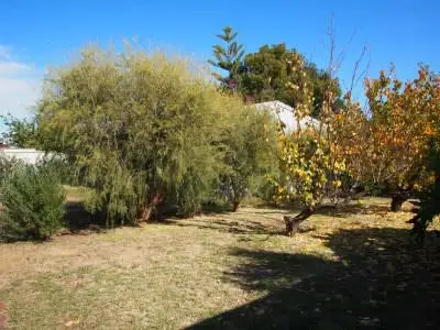Fifth view of Homely house listing, 40 Kipling Street, Narrogin WA 6312
