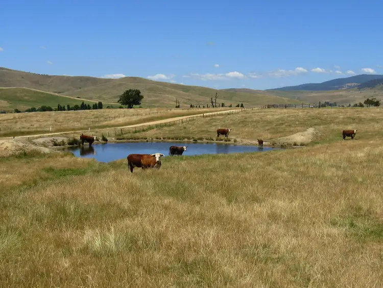 Main view of Homely land listing, "Kelly's" Omeo Valley Road, Omeo VIC 3898