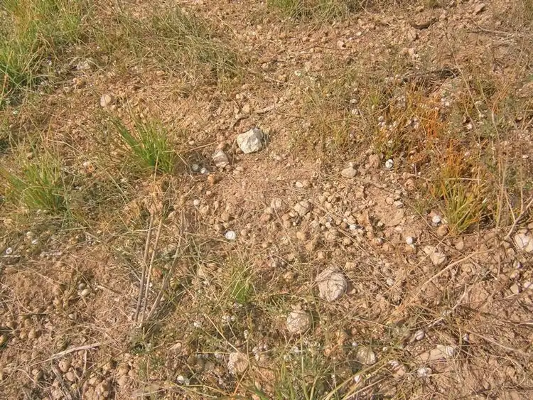 Seventh view of Homely land listing, 82 Old Coach Road, Blanchetown SA 5357