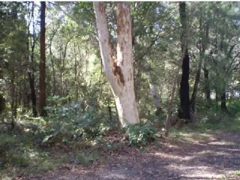 Third view of Homely land listing, 21 NOOGIE ST, Macleay Island QLD 4184